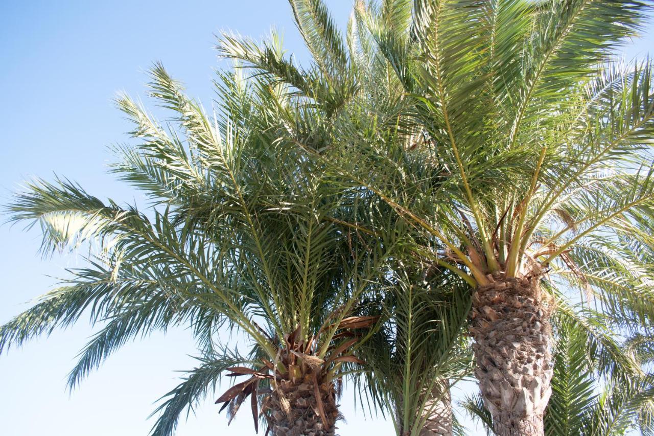 Rafaello Apartment ,,La Zona Cabo Roig, Area Cabo Roig" 奥里韦拉 外观 照片